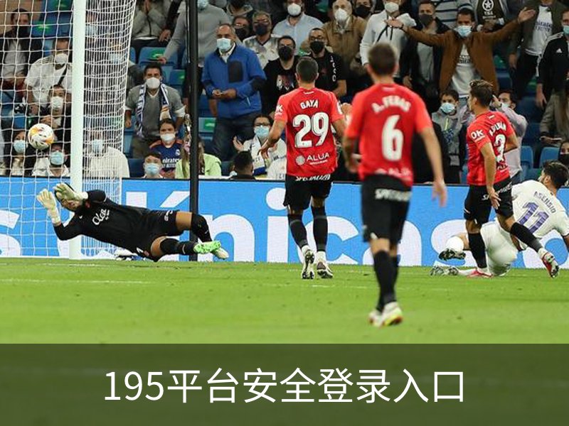 195平台安全登录入口介绍